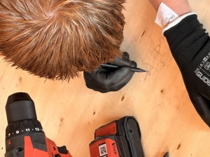 Bild zur Meldung